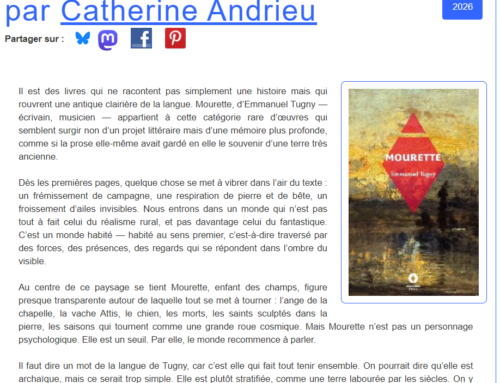 Mourette chroniqué sur Sitaudis