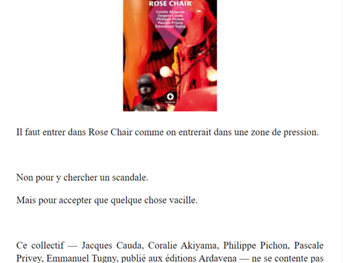 Catherine Andrieu lit Rose Chair