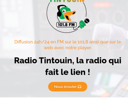 Ardavena sur Radio Tintouin